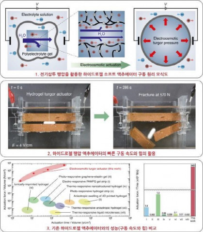 선정윤 재료공학부, 김호영 기계공학부 서울대 공대 교수 연구팀이 개발한 하이드로젤 팽압 액추에이터의 구동 원리 모식도