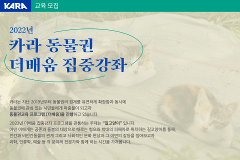 카라 동물권 더배움 집중강좌 홍보 포스터