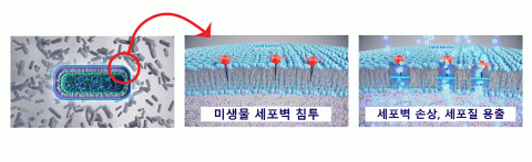 미생물 세포벽을 무너뜨리는 새로운 분자구조(3-도데실아미노프로판-1, 2 디올)