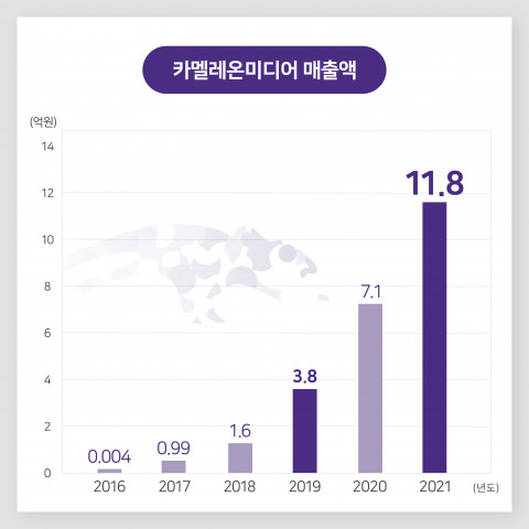 카멜레온미디어의 매출액 증가 현황