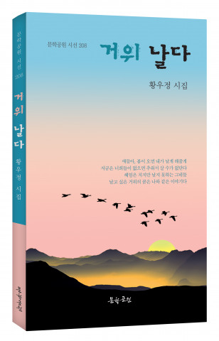 황우정 시집 ‘거위 날다’ 표지, 문학공원, 160p, 정가 1만2000원