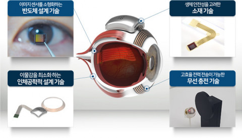셀리코의 전자눈에 포함된 기술 설명 사진