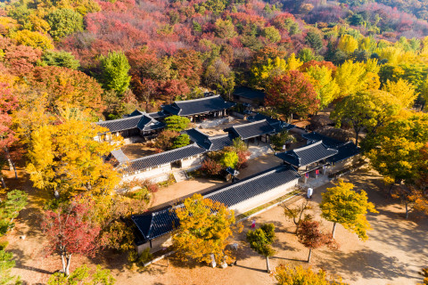 한국민속촌 가을 전경