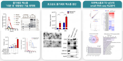 건국대 조쌍구 교수팀의 연구 결과 요약도