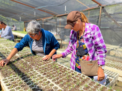 멕시코 자연보호협회의 파트너 조직인 무제레스 유니다스 파라 라 콘세르바시온 데 라구나 산체스의 대표 안젤리카와 몬테레이에서 환경 문제와 싸우는 여성 기업인 단체의 스토리를 희망의 숲에 담았다