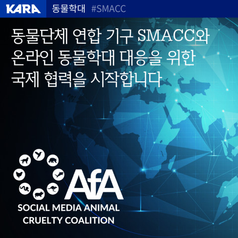 동물권행동 카라, 국내 동물단체 최초로 국제 동물학대 대응 연합 ‘SMACC’ 가입