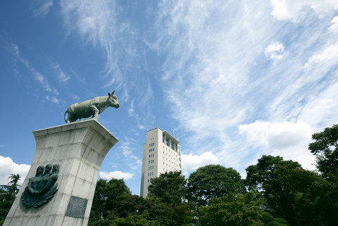 건국대학교, 2023 예비창업패키지 예비창업자 모집