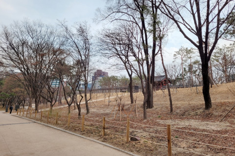 서울그린트러스트가 시민들과 함께 가꿀 율곡로 창경궁 권역 일대