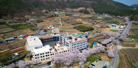 EAC창원요양병원 앞 벚꽃동백길 전경