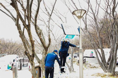 대구 달성군 비슬산자연휴양림의 오토캠핑장에서 세스코가 해충방제 서비스를 제공하고 있다. 캠핑장 측은 관리가 잘 되고 있어 해충 민원은 발생하지 않고 있다고 밝혔다