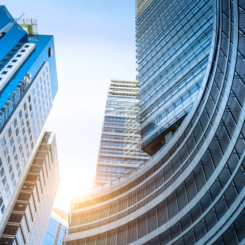 HCX Technology Partners chose Rimini Support™ to solve complex cases, optimize IT resources, achieve