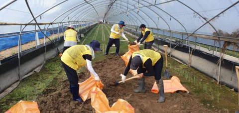 강원도 강릉시자원봉사센터 소속 산불피해 이재민으로 구성된 자원봉사자들이 충북 청주의 침수 피해 농가에서 자원봉사활동을 하고 있다
