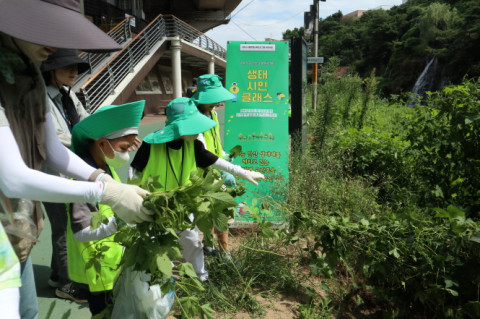 안산에서 생태계 교란종(환삼덩굴)을 제거하는 모습