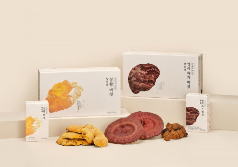 정관장 버섯달임액 2종 라인업
