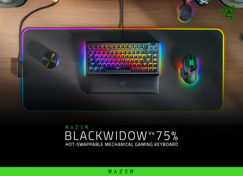 레이저 블랙위도우 V4 75%