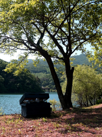 이은경 작가 전시작품 ‘The End: Honeybee’s Travel’