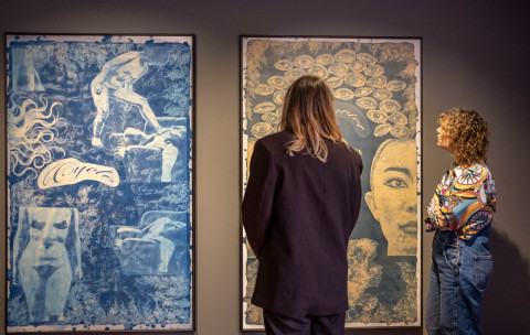Hexed, Vexed and Sexed: 8 Women Artists from Korea 장지아, 아름다운 도구들 Ⅲ-12개의 콜라주, 시아노타입 콜라주, 각 193×120㎝,