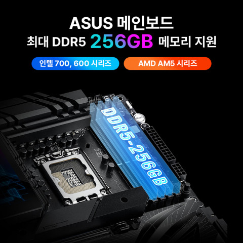 최대 256GB DDR5 메모리 지원