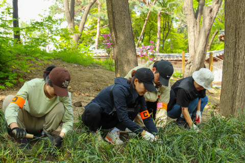 궁궐숲가꾸기 참여 시민들의 나무심기 봉사활동 모습
