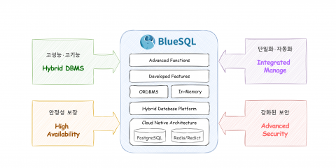 BlueSQL DBMS 플랫폼