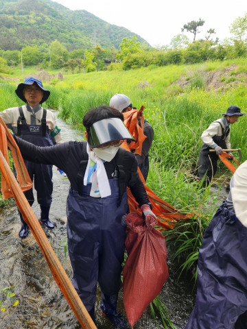 덴소코리아 임직원들이 우산천 생태 조사와 더불어 하천 정화 활동을 실시하고 있다