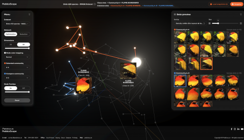 Visualized example of data clinic quality analysis result utilizing data communication tool ‘PebbloScope.’ Data set: Birds 450 species (Kaggle)