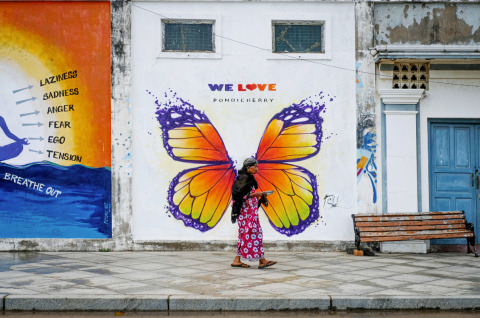 PEOPLE'S VOTE WINNER - Fluttering Through Life by Mohamed Rafi - Pondicherry, India