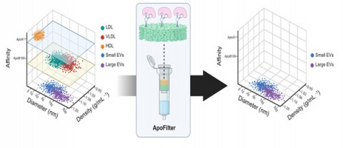 Aptamer 기반 지질단백질 제거용 ApoFilter의 작동 원리(제공=마이크로젠타스)