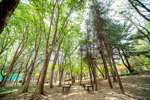 대전 갈마문화공원 내 신한카드와 함께한 네 번째 에코존 ‘만남의 공원’ 전경