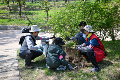 25일 창경궁 내 ‘유한킴벌리 궁궐숲’에서 유한킴벌리 임직원과 가족들이 함께 봄맞이 나무심기 활동을 진행하고 있다