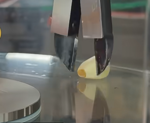 마늘꼭지로봇이 마늘 꼭지 부위만 커팅하는 모습