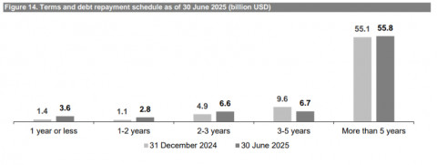 Figure 14. Terms and debt repayment schedule as of 30 June 2025 (billion USD)