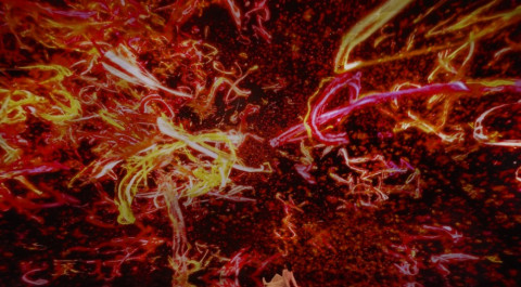 Created for the Prayer exhibition, this work was shown in private from April 25th to May 31st, 2021,