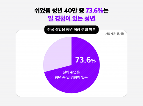 쉬었음 청년 40만 중 73.6%는 일 경험이 있는 청년(출처: 통계청)