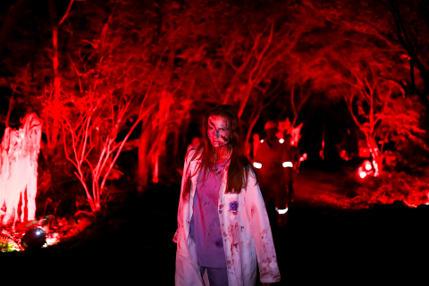 에코랜드 ‘좀비트레인: 제주행’