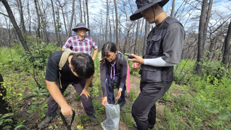 산사태 전문인력 양성센터 학생들이 안동 산불 피해 현장의 토양 샘플 채집을 진행하고 있다