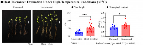 Heat Tolerance: Evaluation Under High-Temperature Conditions (30°C)