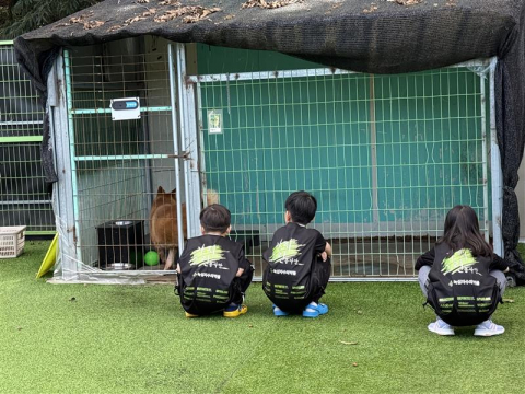 가치그린봉사단 아이들이 보호견을 바라보며 따뜻한 마음을 전하고 있다