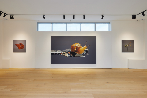 이엔갤러리 김영성 작가 개인전 ‘[無·生·物]’ 전시 전경