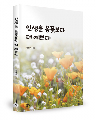 정동혁 지음, 좋은땅출판사, 212쪽, 1만3000원