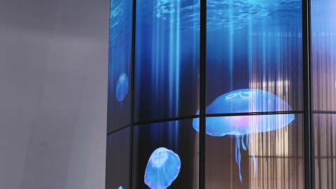 APEC 투명 올레드 TV로 만든 초대형 샹들리에 미디어아트 전시(제공=에이프레임)