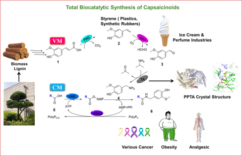연구 관련 그림