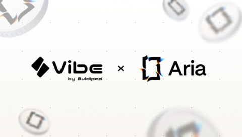 스토리 기반 IP RWA 아리아 프로토콜, 초기 투자 유치 위한 네이티브 토큰 커뮤니티 세일 진행