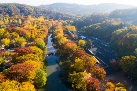 한국민속촌의 가을 전경
