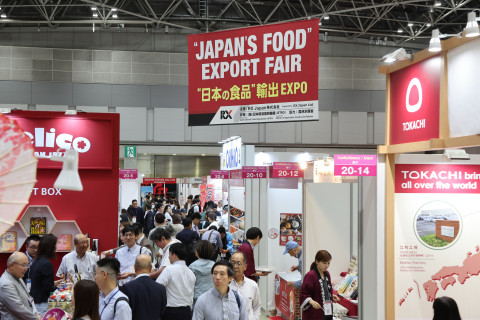 지난 전시회 전경