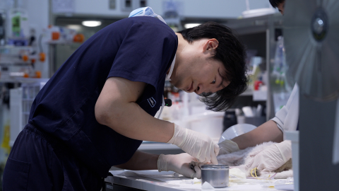 넬동물심장센터 엄태흠 원장이  방송에서 수술을 마친 환견을 세심하게 살피고 있다(제공=SBS Life)