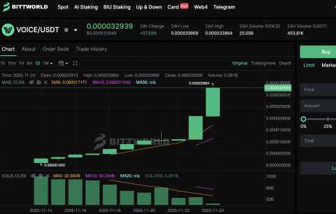 Bittworld 거래소에 밈토큰인 VOICE 토큰이 상장됐다