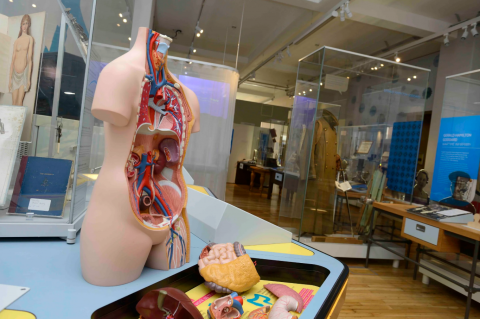 우스터 대학교 의전원