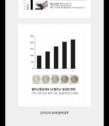 특허 성분 처리 시 멜라닌이 눈에 띄게 증가. 실제 멜라노사이트에서 확인된 과학적 데이터 통계적 유의성 확보