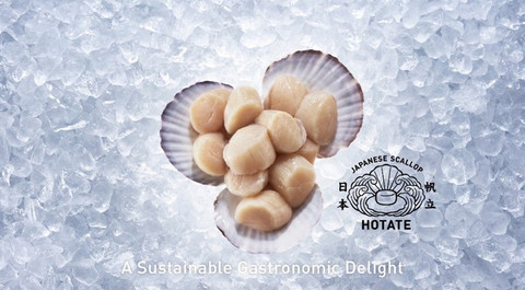 Japanese Scallop - A Sustainable Gastronomic Delight